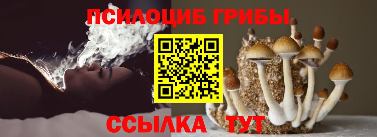 Псилоцибиновые грибы прущие грибы Семилуки