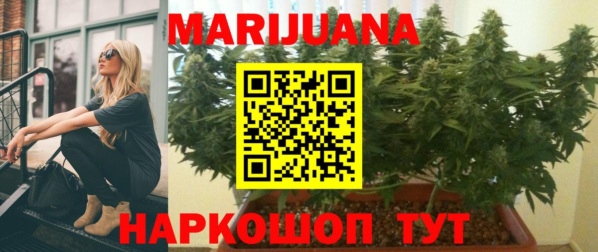 Бошки марихуана сатива  МАРИХУАНА ГИДРОПОН  Каннабис Amnesia  Семилуки  Вход с VPN 